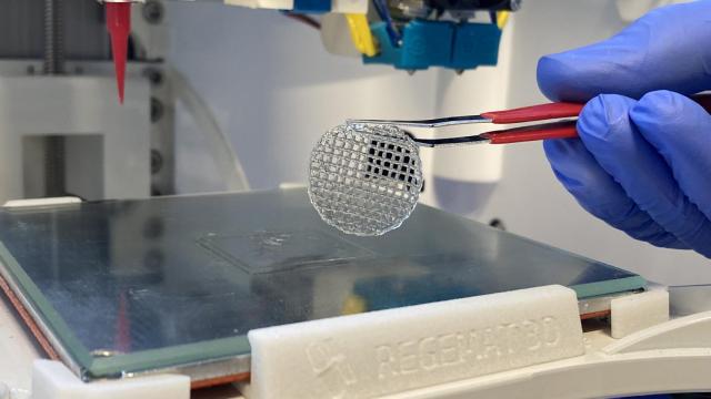 Regemat 3D desarrolla sistemas de biofabricación de tejidos y órganos -bioimpresoras y biorreactores- que investigadores de todo el mundo usan para intentar encontrar soluciones a las lesiones tisulares en tejidos como el cartílago, hueso, médula espinal y tejido muscular entre otros.