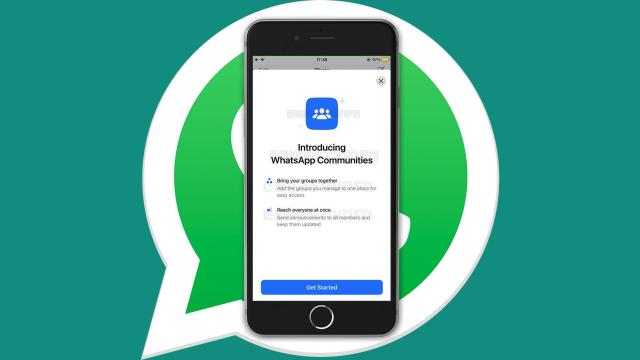 WhatsApp en un iPhone.