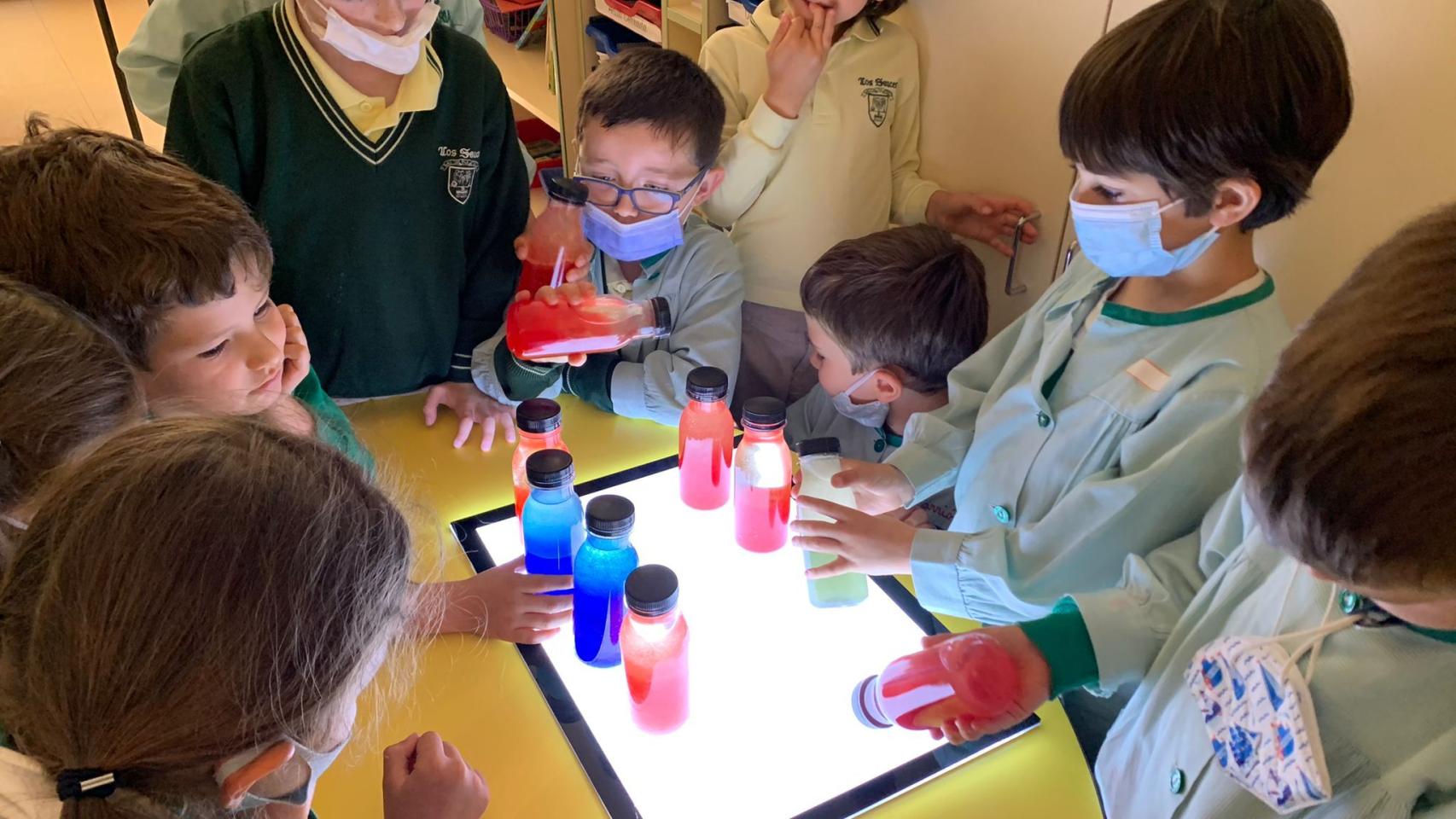 Colegio Los Sauces La Moraleja (Madrid)