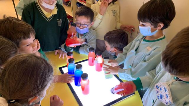 Colegio Los Sauces La Moraleja (Madrid)