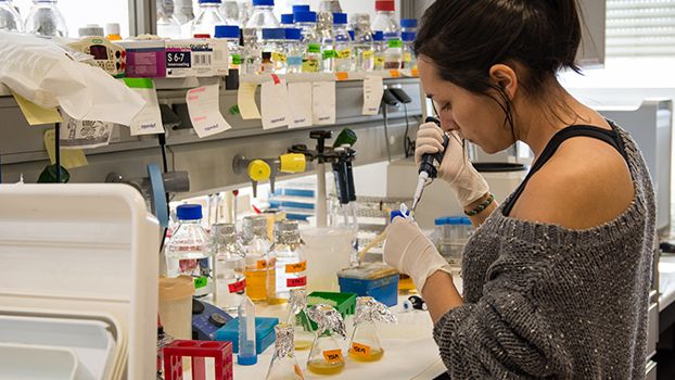 Investigación en la Universidad de Salamanca