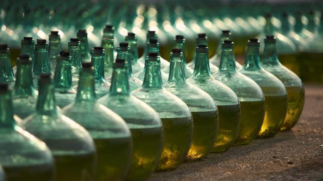 Bodega De Alberto, la defensa de la esencia y de la identidad de la tierra de Rueda