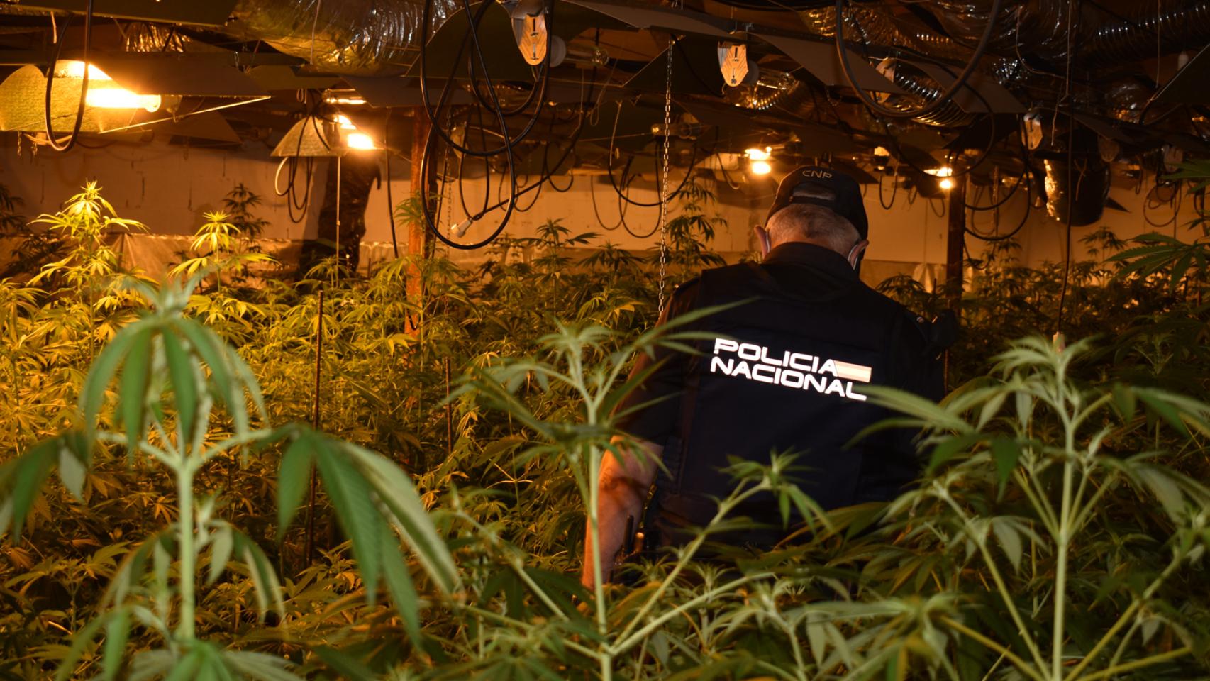 Imagen de la operación facilitada por la Policía Nacional