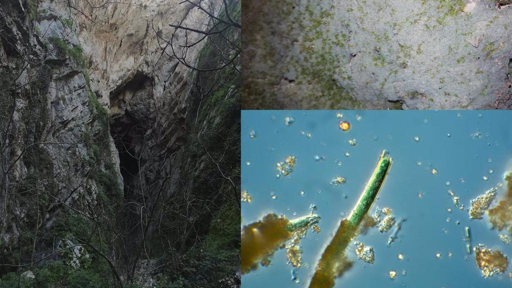 Imagen de la Cueva del Hundidero y las amebas.