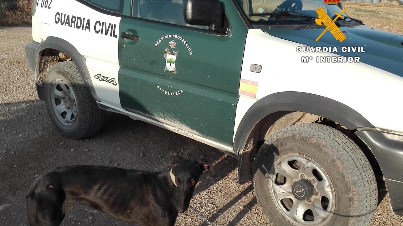 Investigados por furtivismo. Imagen facilitada por la Guardia Civil