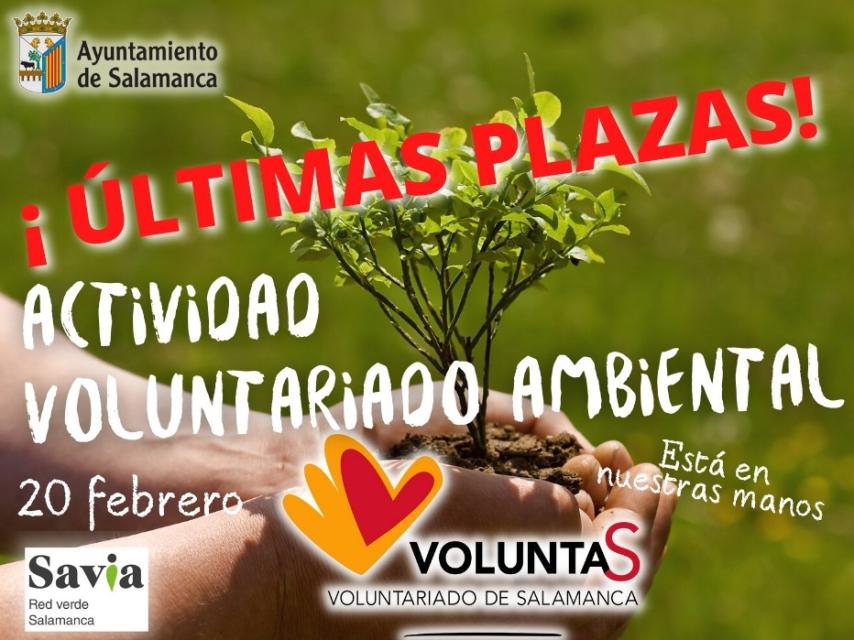 voluntariado ambiental salamanca cartel