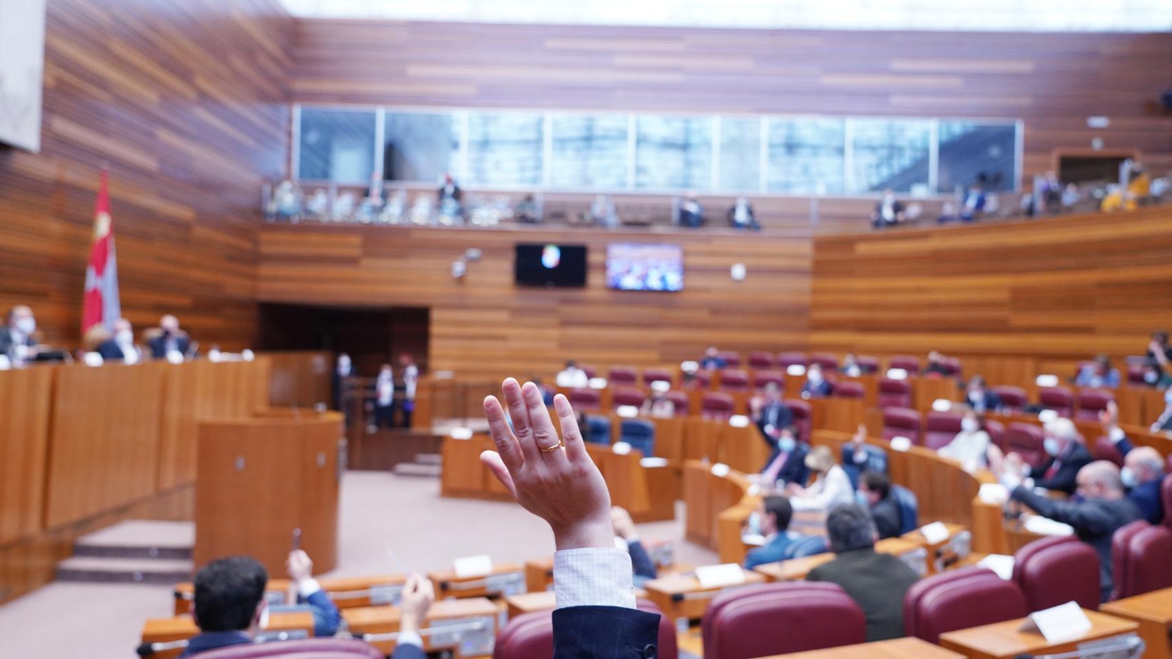 Votación en el Pleno de las Cortes