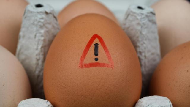 Salmonella: ¿Cómo evitar la infección y qué hacer si te pasa?