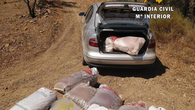 Incatairon 10.530 kilogramos de algarroba de ilícita procedencia.