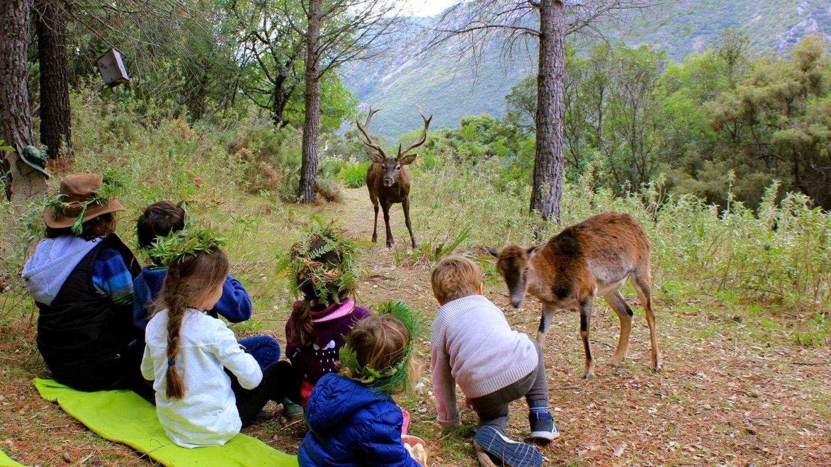 Una imagen de una visita a la Reserva de Ojén (Málaga).