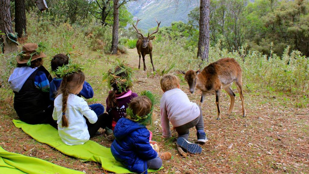 Una imagen de una visita a la Reserva de Ojén (Málaga).