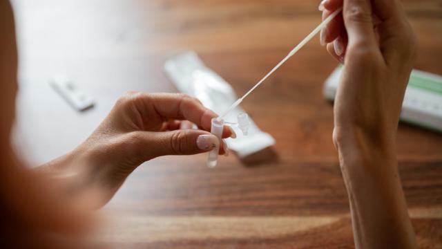 Una persona se realiza el test de antígenos.