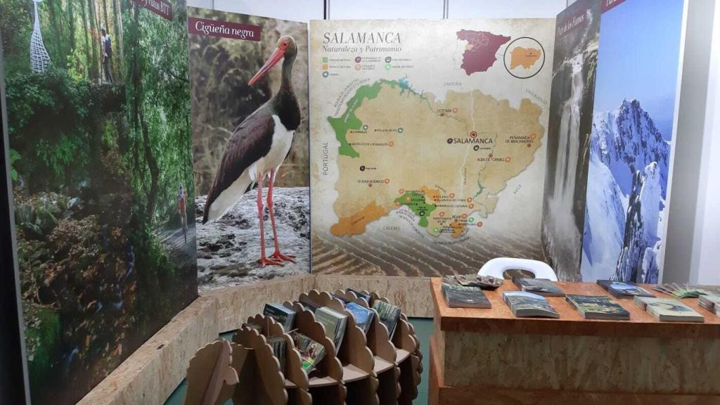 Estand de la Diputación de Salamanca