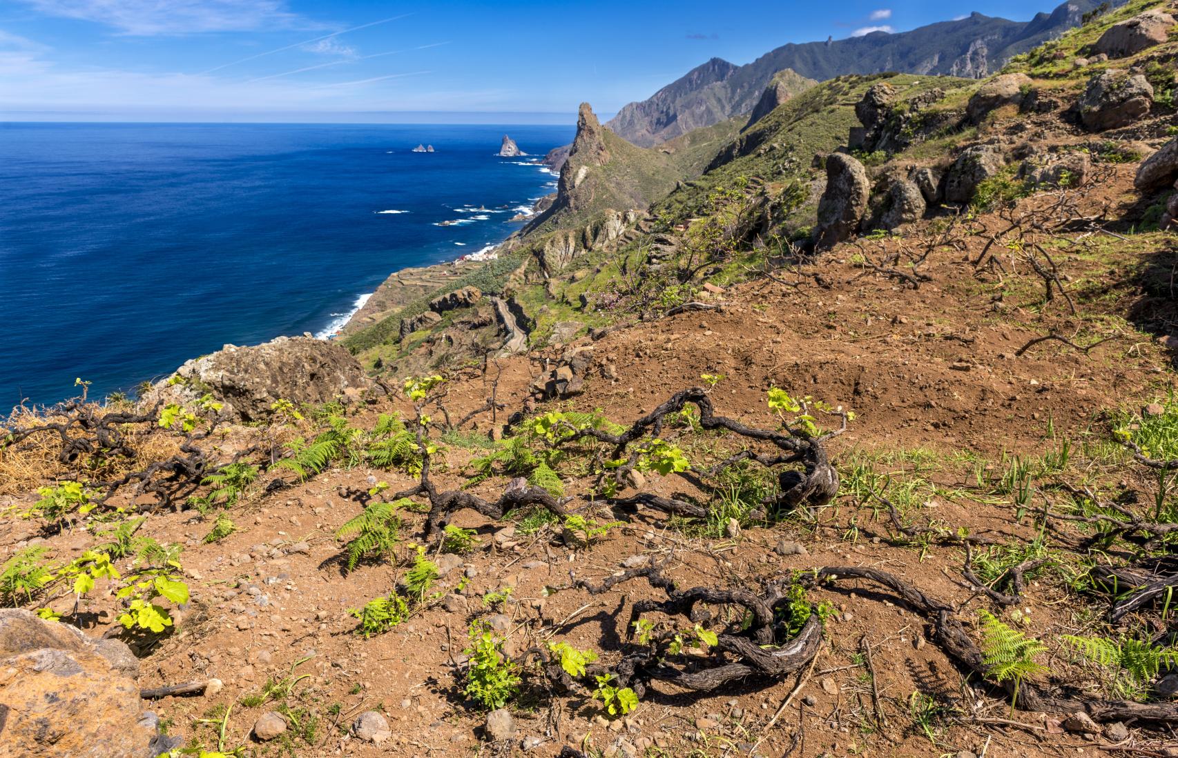 Parcela Margalagua en Taganana, Tenerife