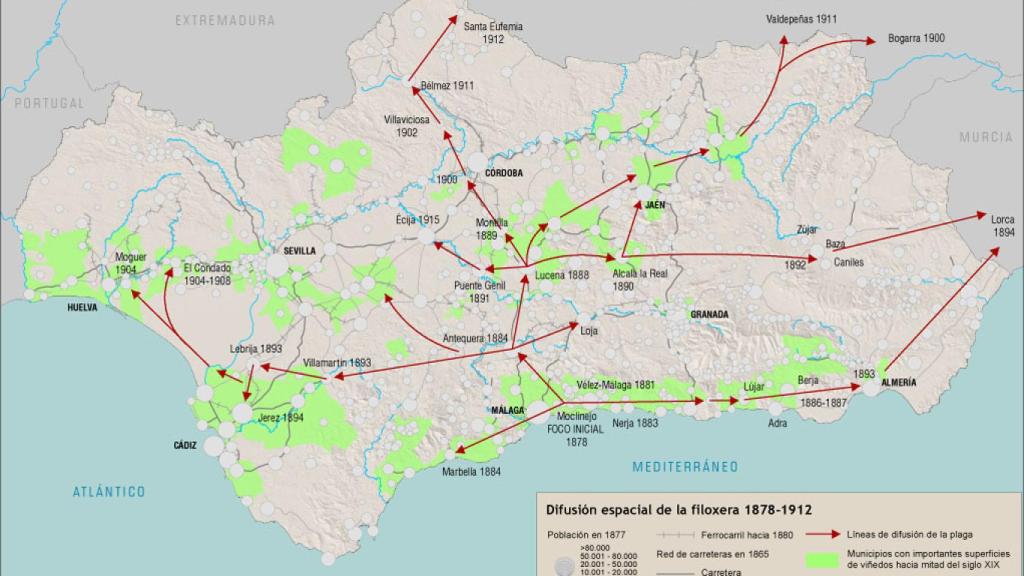 La expansión de la filoxera a lo largo de la comunidad hasta 1912.