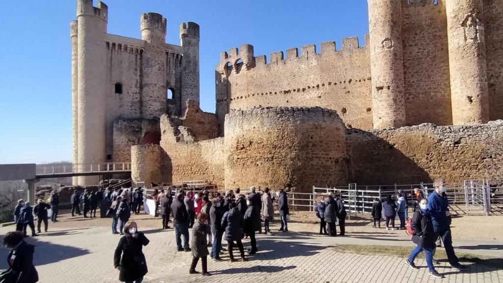 Concurso de burros raza zamoranana leonesa en Valencia de Don Juan