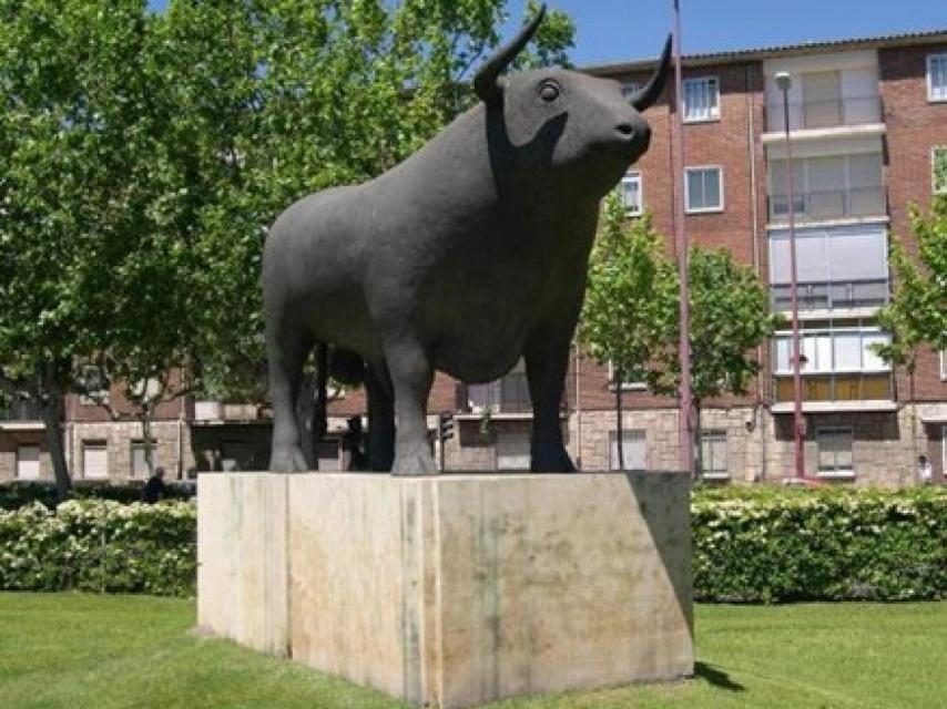 Toro