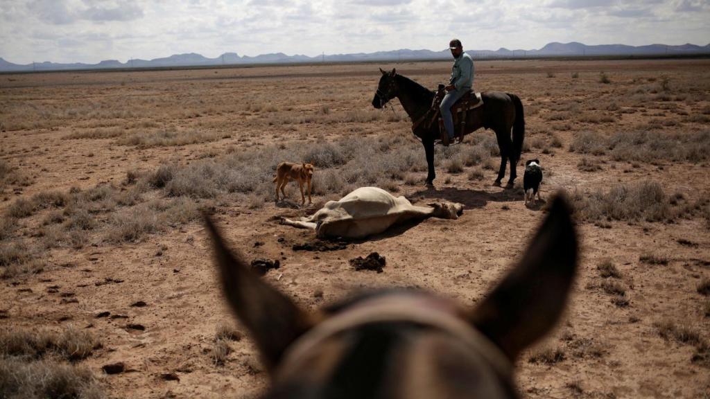 Un área afectada por la sequía cerca de Camargo, en el estado de Chihuahua, México.