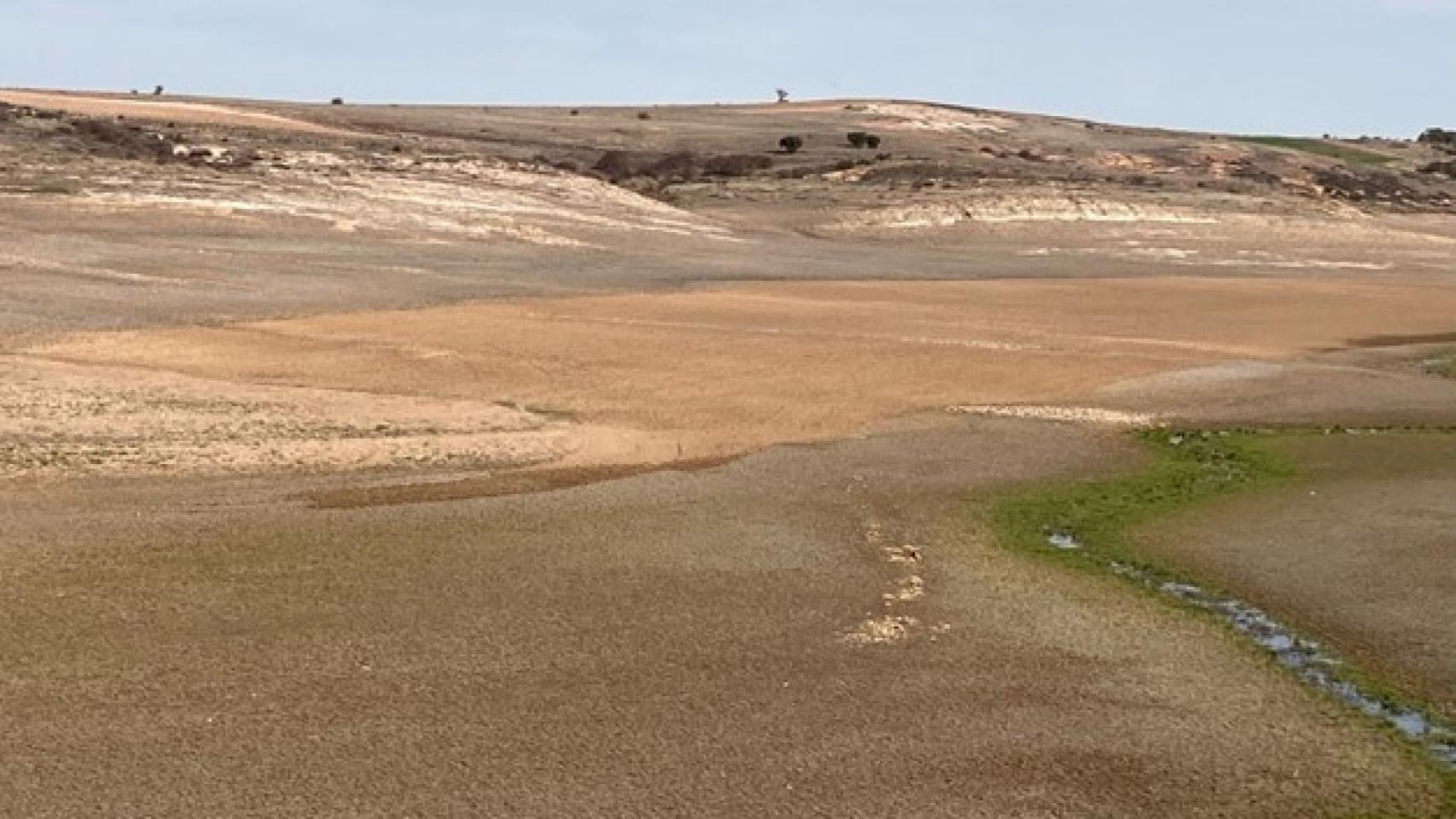 Tierras de cultivo en el embalse de Ricobayo | Foto: Ecologistas en Acción