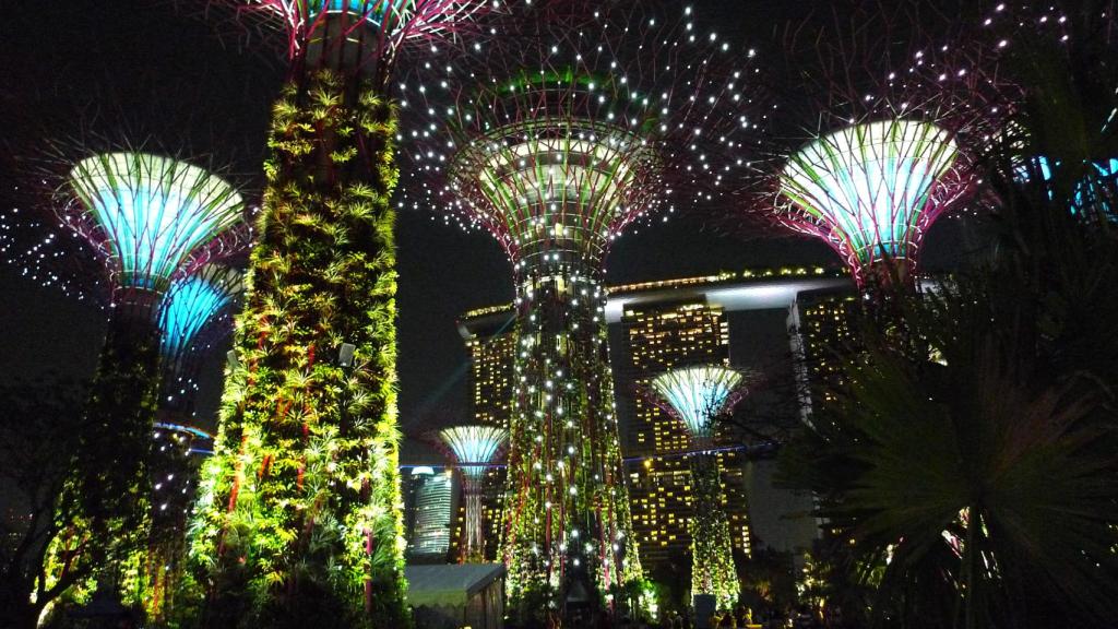 Supertree Grove