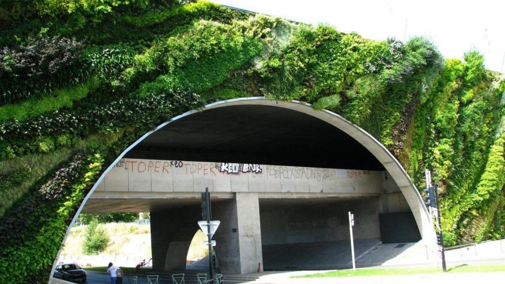 El puente Max Juvenal tiene más de 20.000 plantas
