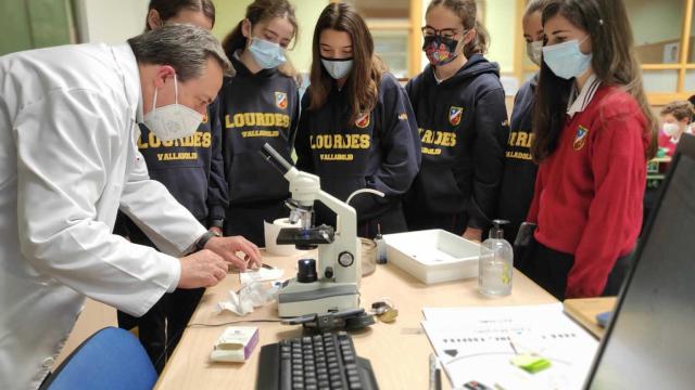 Colegio de Lourdes (Valladolid)