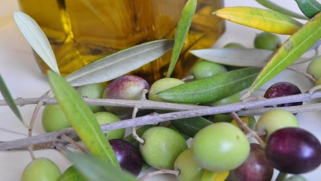 Aceitunas.