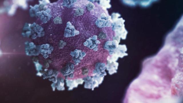 Qué sabemos de BA.2 H78Y, la variante de ómicron que evitaría la destrucción de las células infectadas