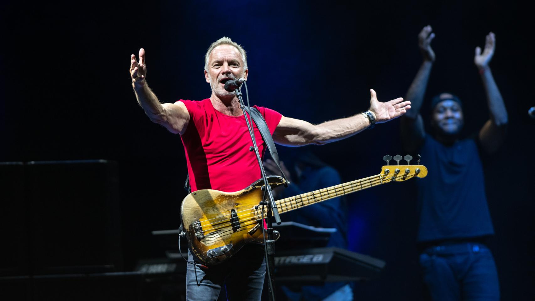 El cantante Sting en concierto.