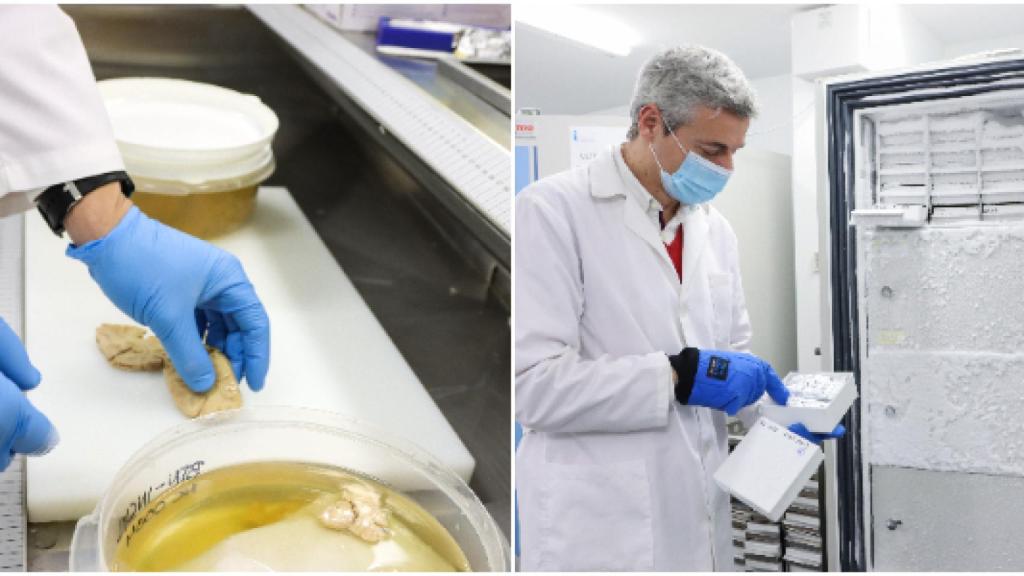Imagen del trabajo de laboratorio