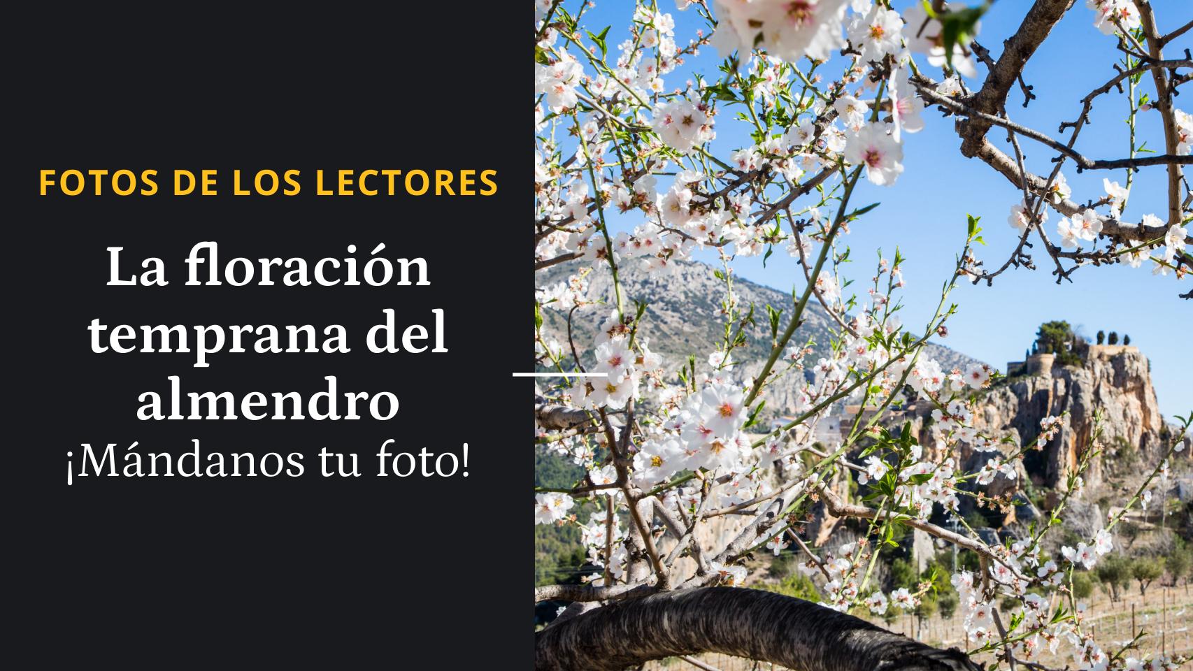 La floración temprana del almendro ¡Mándanos tu foto!