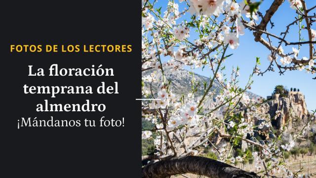La floración temprana del almendro ¡Mándanos tu foto!