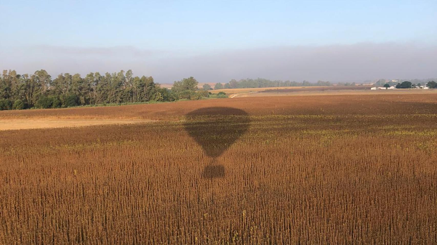 Los mejores puntos de vista escondidos tras la ventanilla