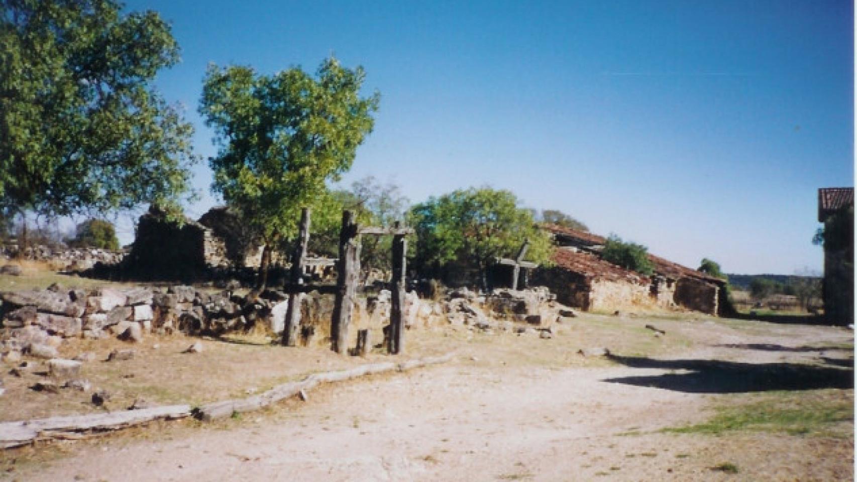 Matandrino
