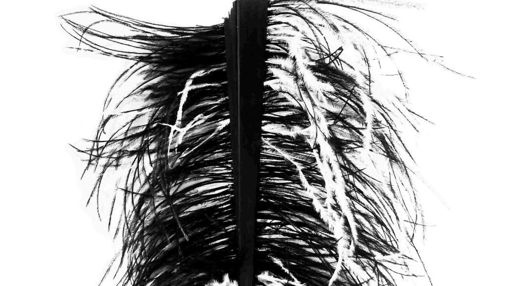 Modelo de noche cerrado.