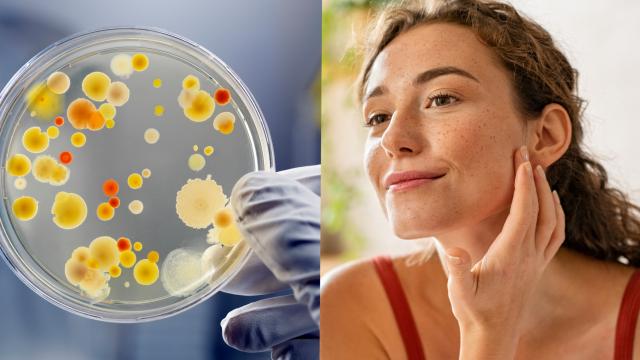 Cinco cosméticos que incluyen bacterias para proteger y cuidar la piel