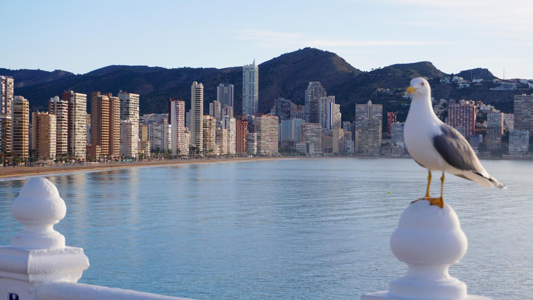 ¿Con niños y sin plan para este fin de semana en Benidorm? La ciudad organiza una yincana.
