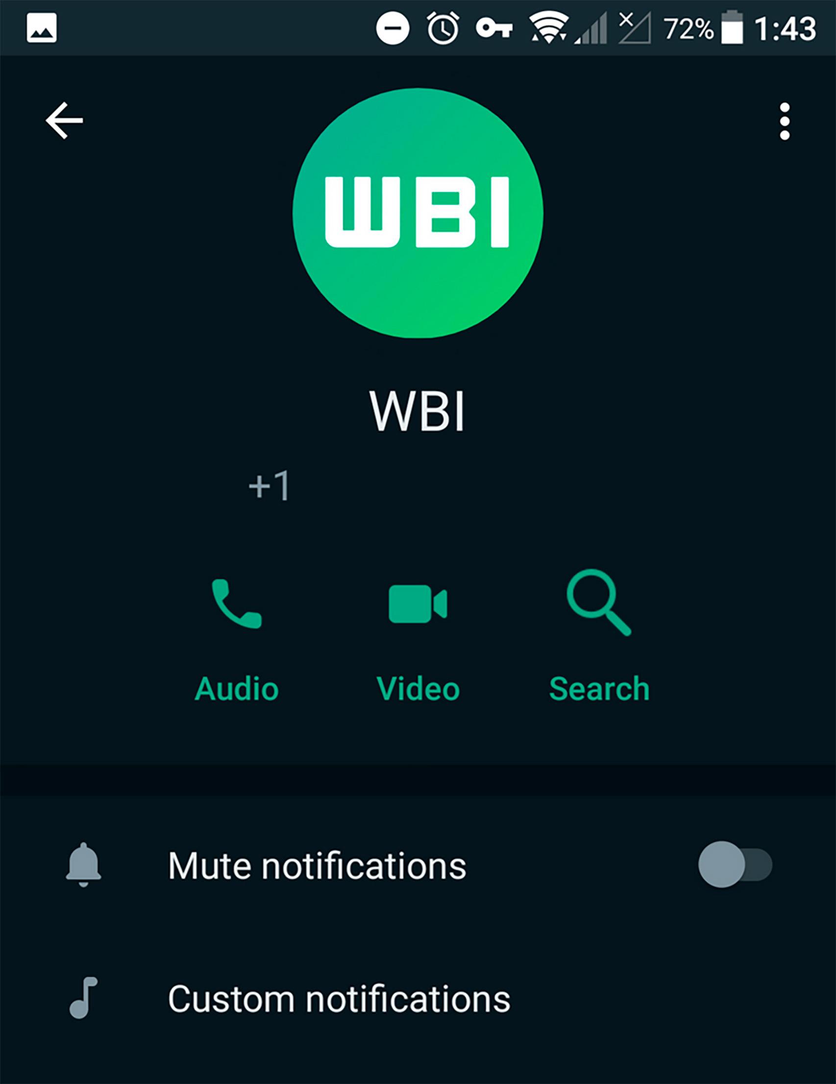 El nuevo botón de búsqueda en WhatsApp
