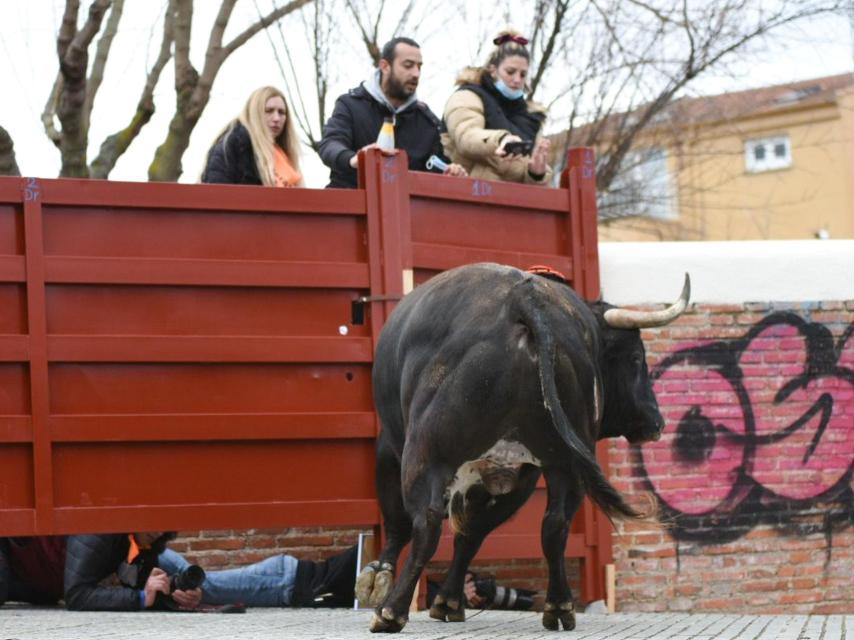 El Toro del Antruejo