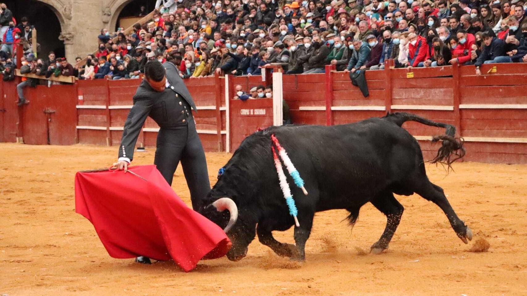 Festival taurino sábado Carnaval del Toro Ciudad Rodrigo 2022