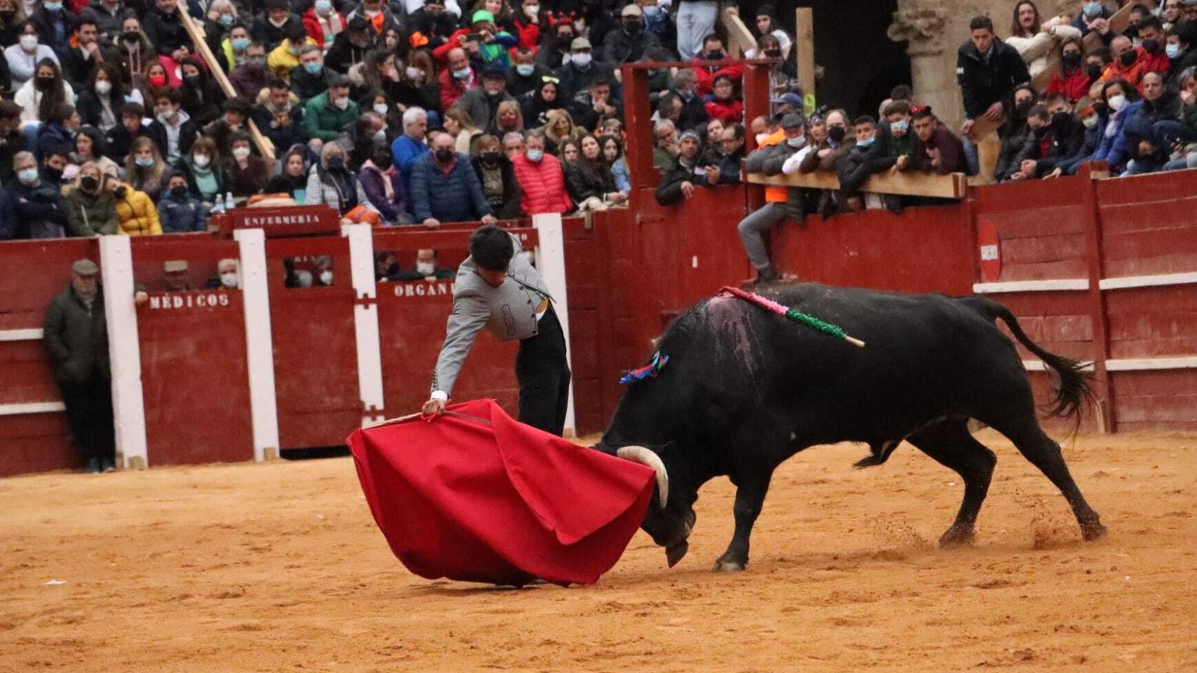 Buen muletazo del novillero salmantino Manuel Diosleguarde