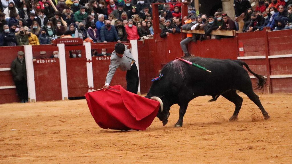 Buen muletazo del novillero salmantino Manuel Diosleguarde