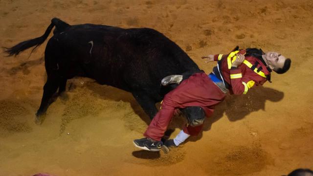Cogida de un mozo en la capea del Carnaval de Ciudad Rodrigo
