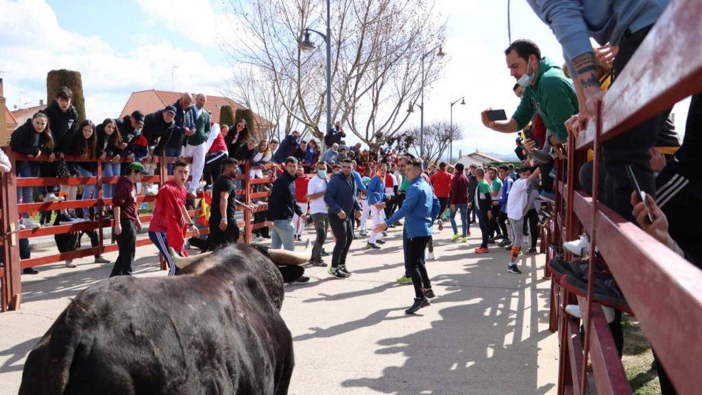 Encierro y desencierro carnaval Ciudad Rodrigo domingo 2022