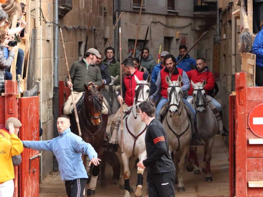 Largo encierro a caballo en el Carnaval de Ciudad Rodrigo