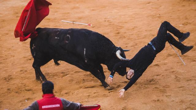 Cogida de un maletilla en la capea de la tarde en Ciudad Rodrigo
