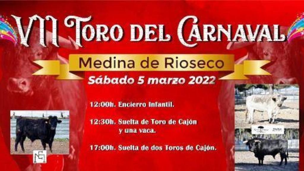 VII Toro del Carnaval