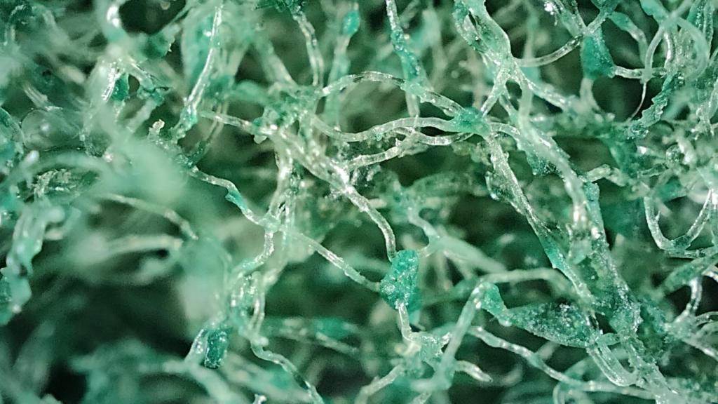 Estropajo visto con la cámara microscopio del realme GT 2 Pro