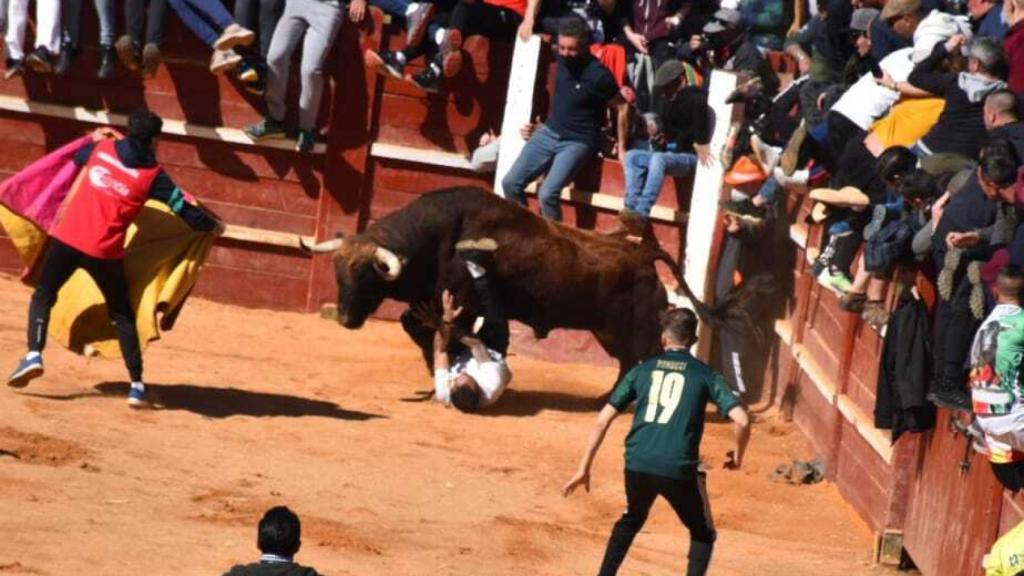 El Carnaval del Toro en Ciudad Rodrigo