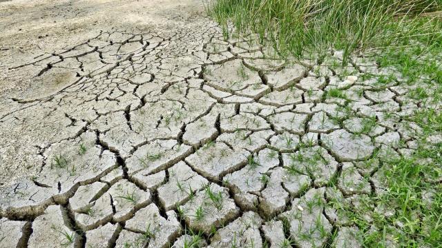 El 52% de las tierras agrícolas mundiales están degradadas.